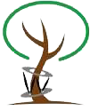 British Limb Reconstruction Society